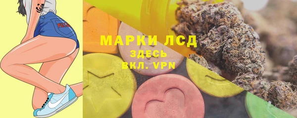прущий лед Алзамай