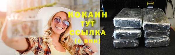 прущий лед Алзамай