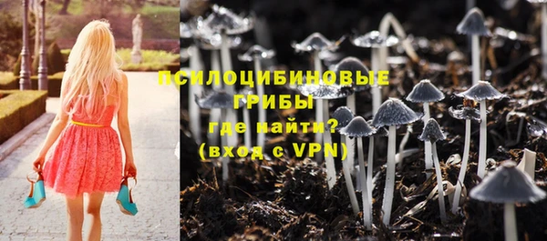 прущие крисы Аркадак