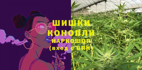 хмурый Лиски