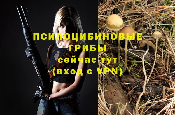 a pvp Алексеевка