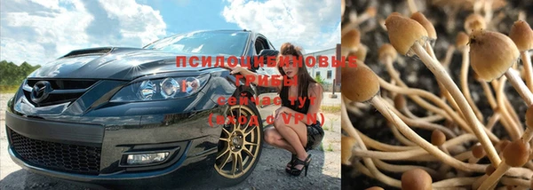 прущий лед Алзамай