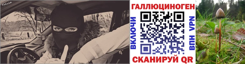 Псилоцибиновые грибы Cubensis МЕГА зеркало Александров